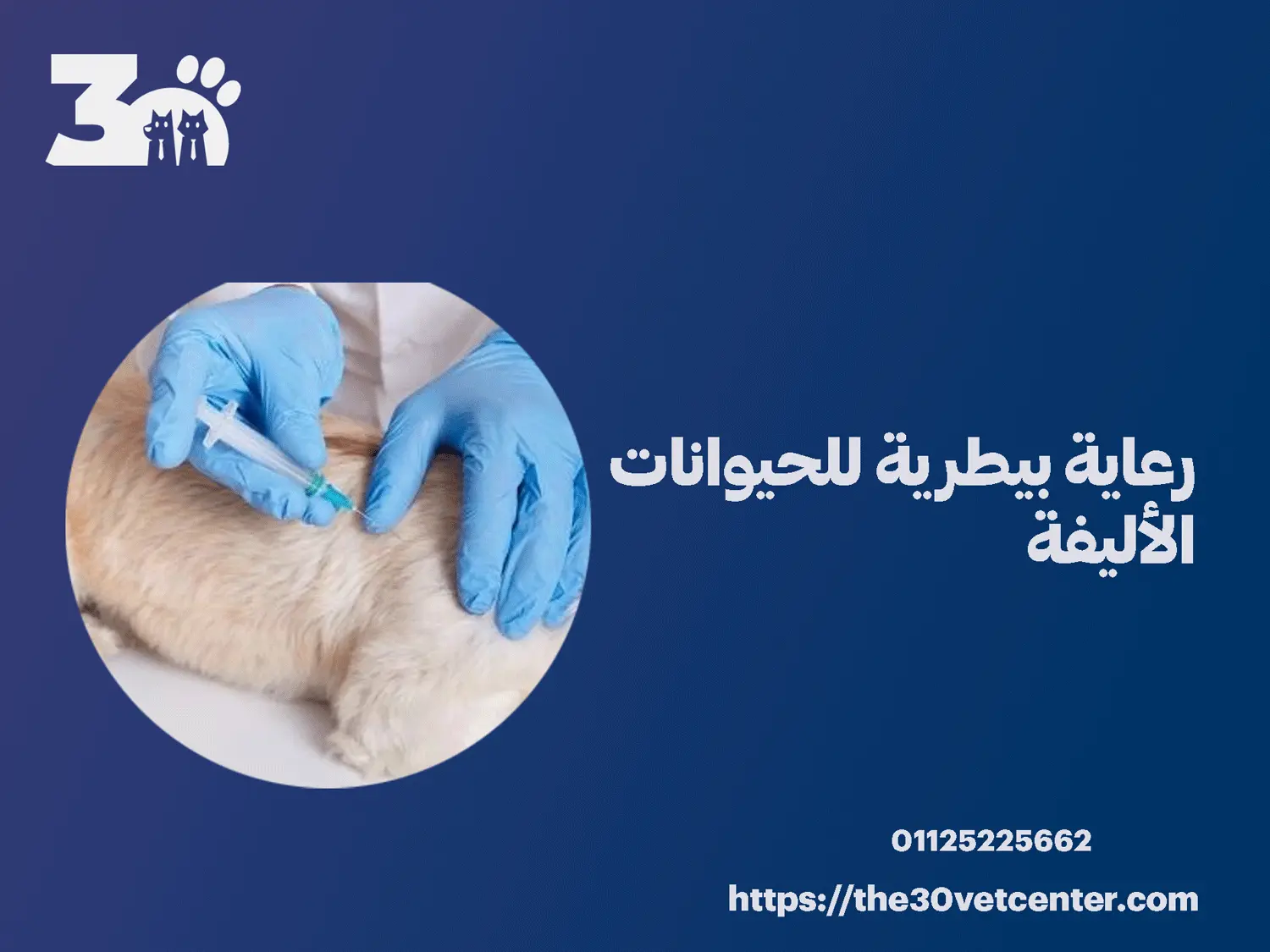 رعاية بيطرية للحيوانات الأليفة