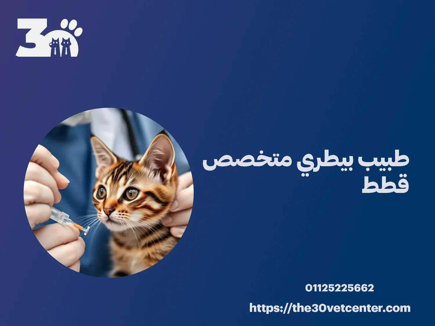 طبيب بيطري متخصص قطط
