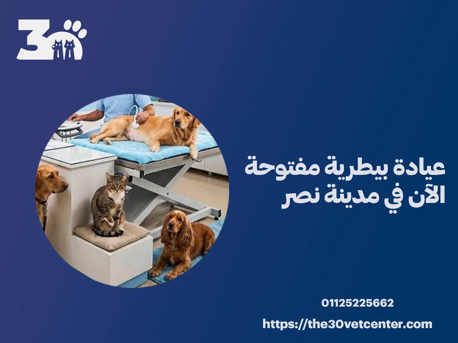 عيادة بيطرية مفتوحة الآن في مدينة نصر