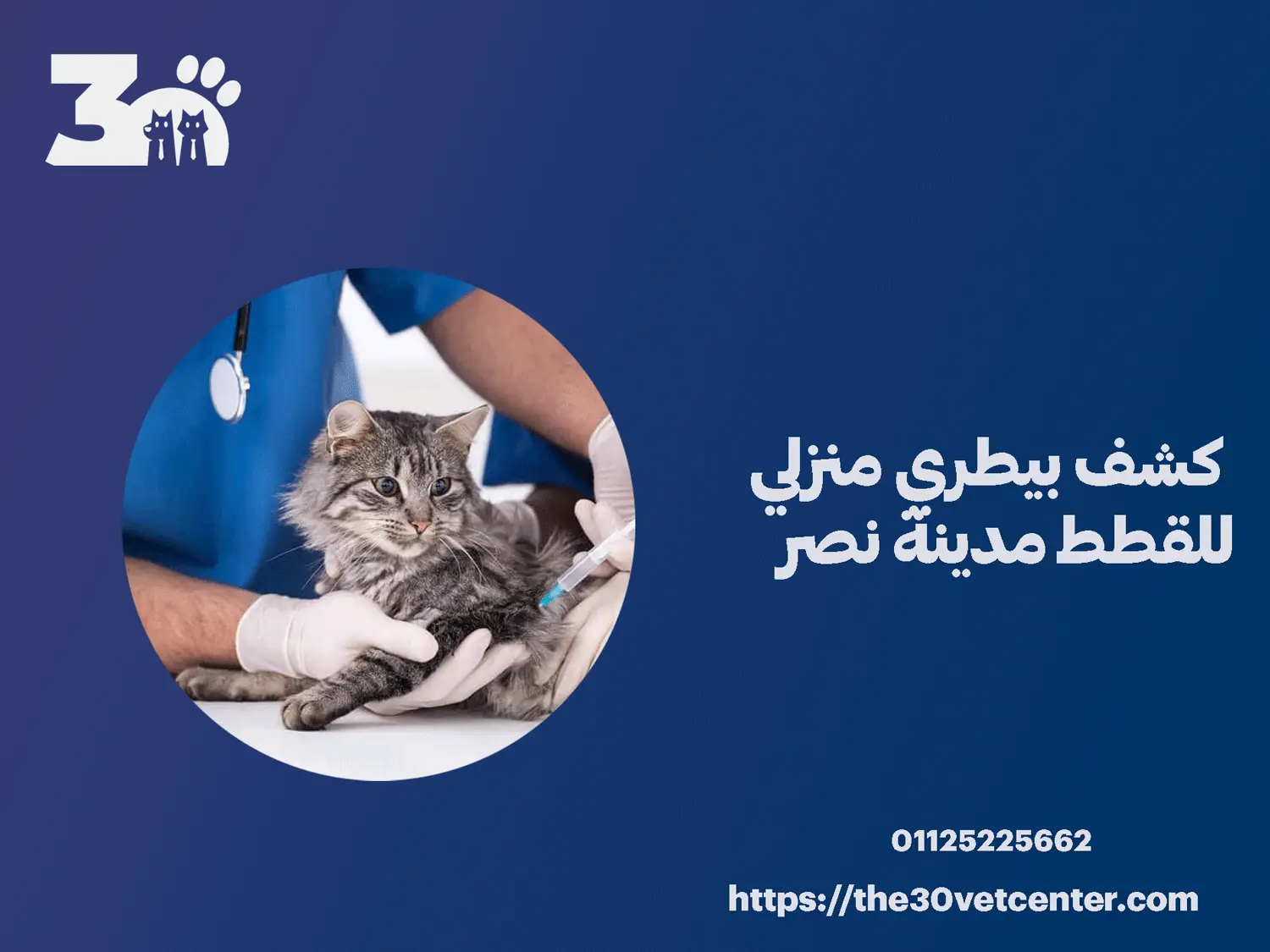 كشف بيطري منزلي للقطط مدينة نصر