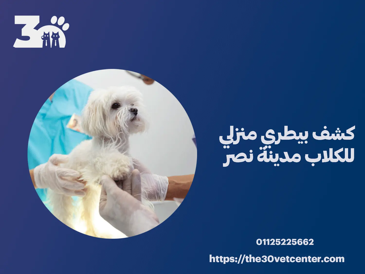 كشف بيطري منزلي للكلاب مدينة نصر