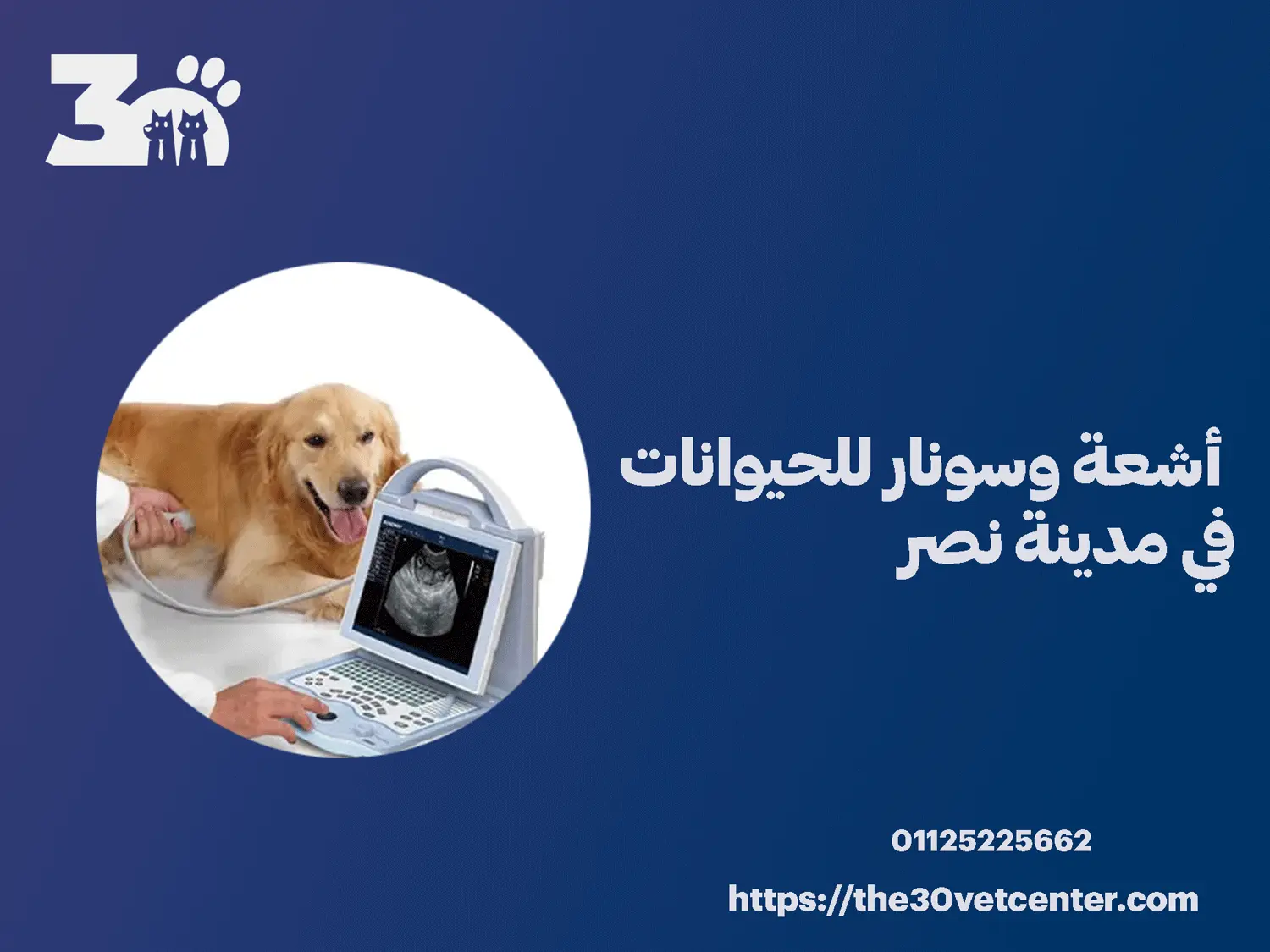 أشعة وسونار للحيوانات في مدينة نصر