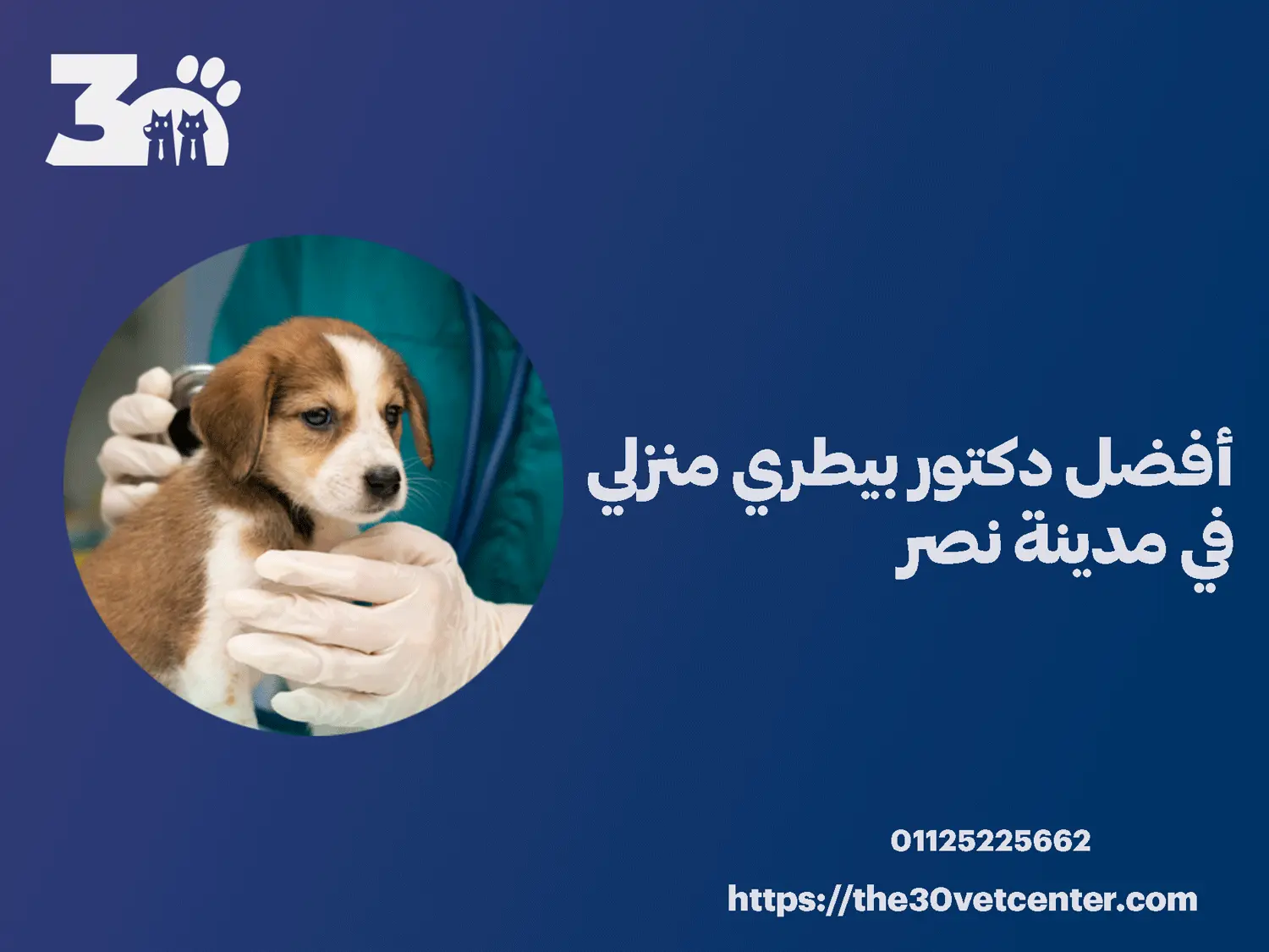 أفضل دكتور بيطري منزلي في مدينة نصر