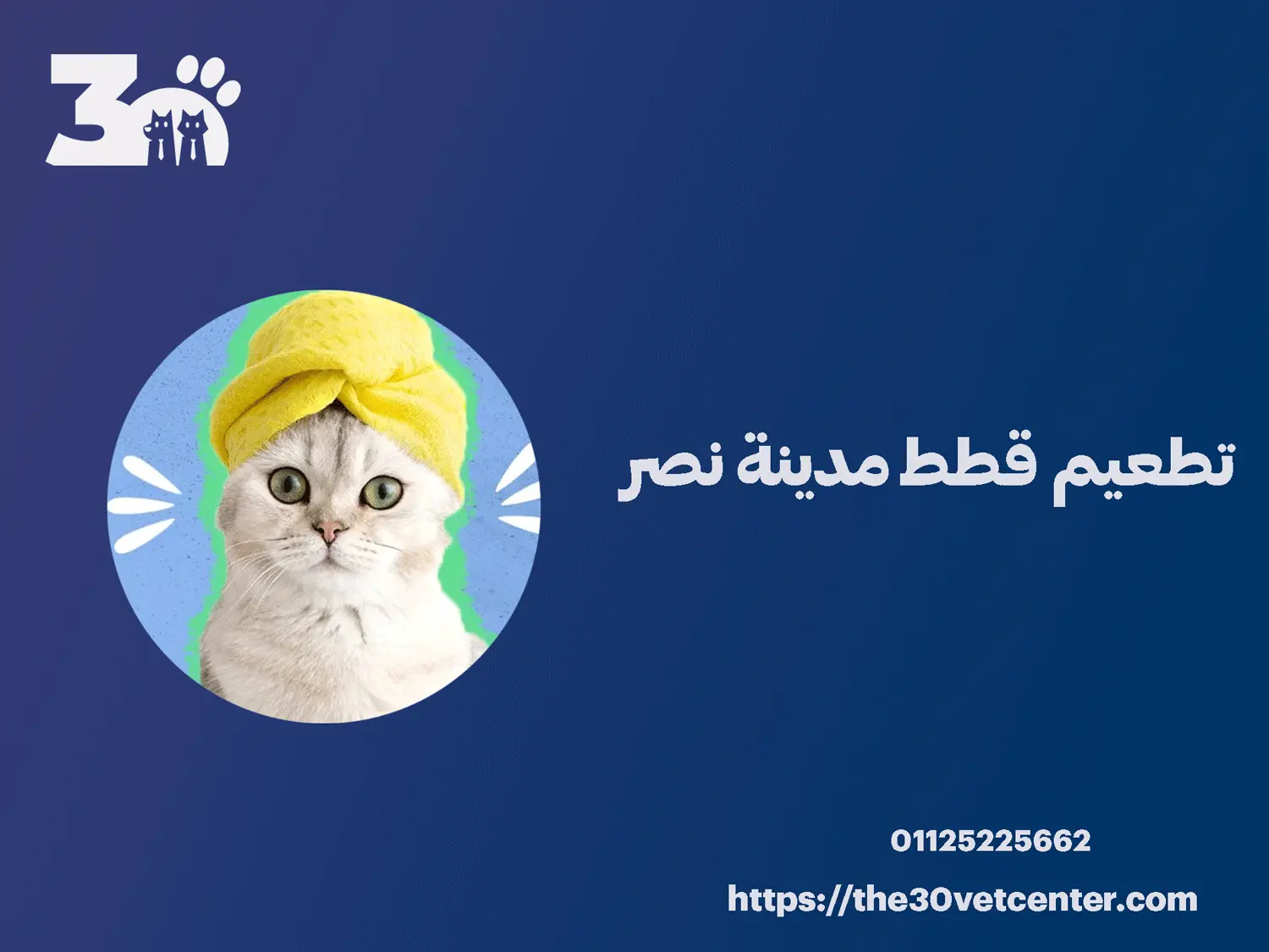 تطعيم قطط مدينة نصر