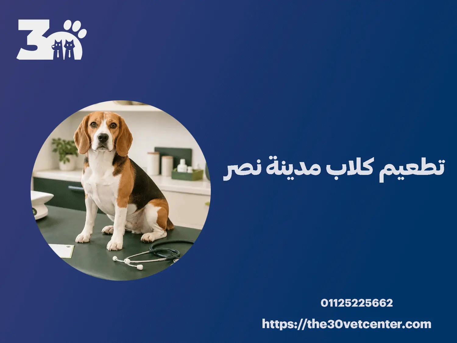 تطعيم كلاب مدينة نصر