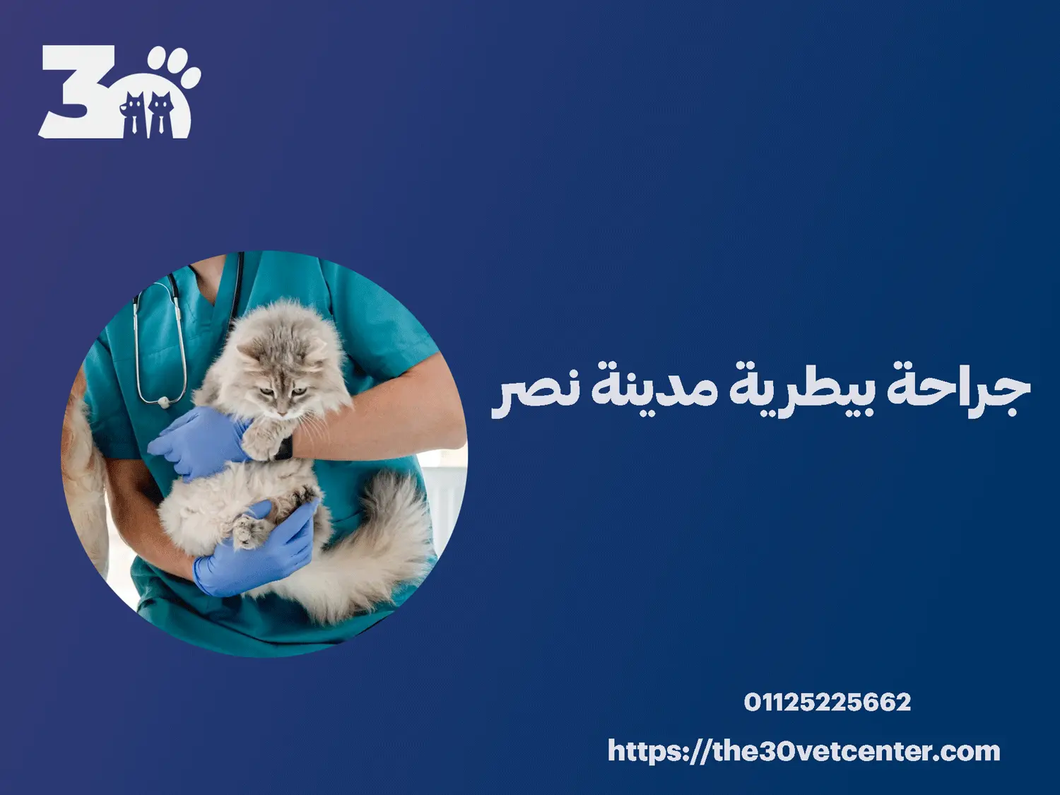 جراحة بيطرية مدينة نصر