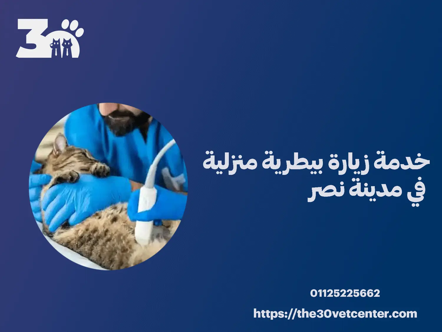 خدمة زيارة بيطرية منزلية في مدينة نصر