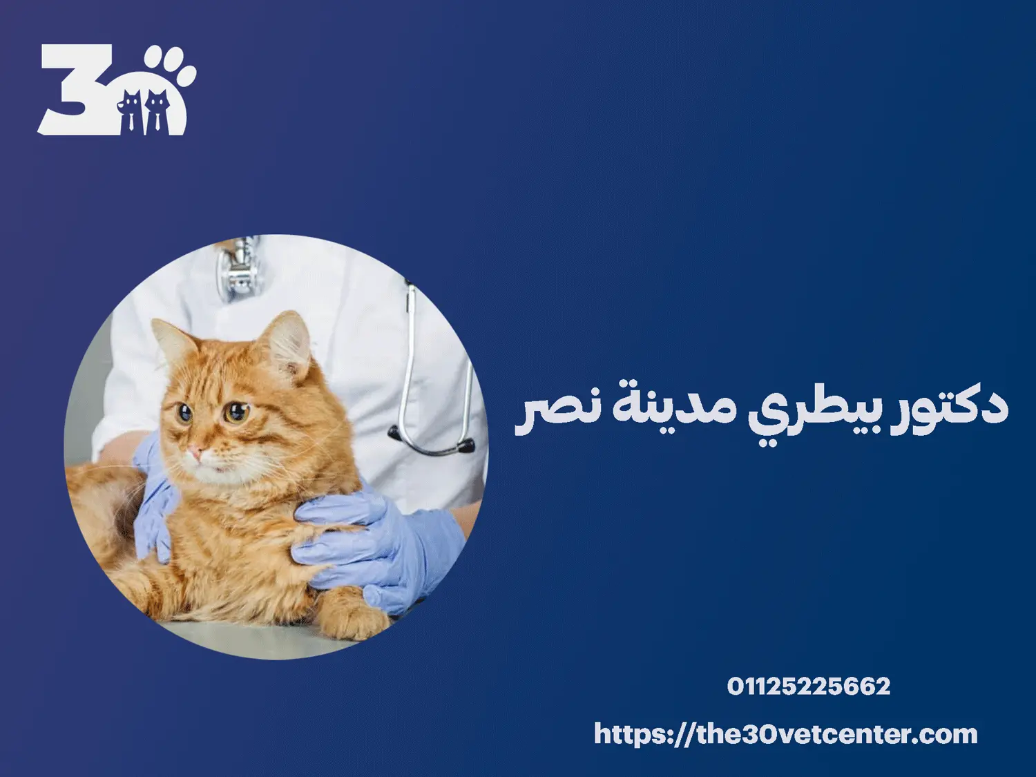 دكتور بيطري مدينة نصر