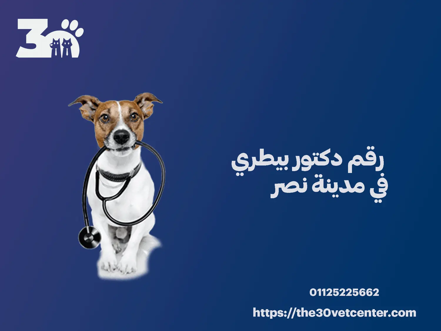 رقم دكتور بيطري في مدينة نصر