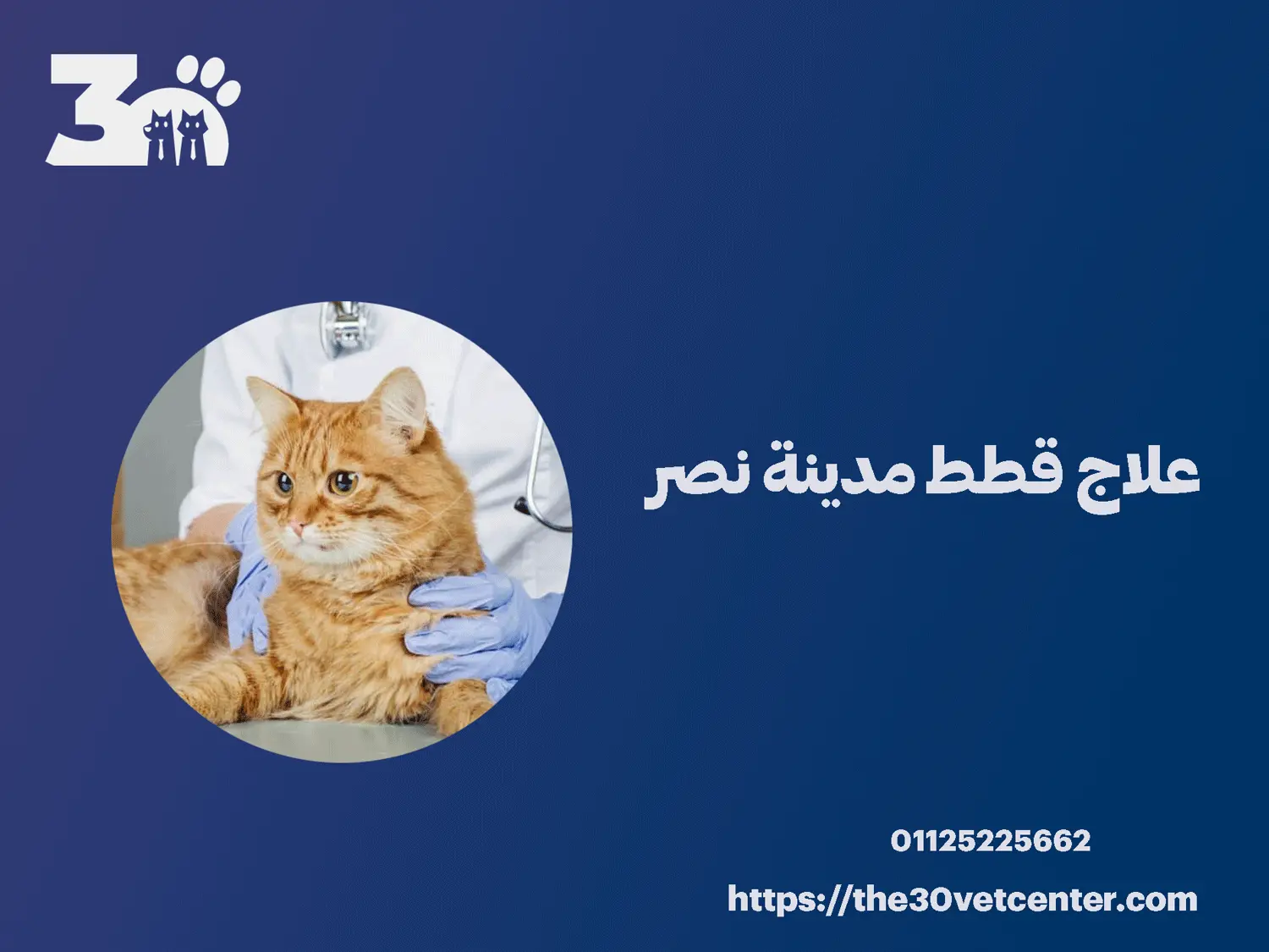 علاج قطط مدينة نصر