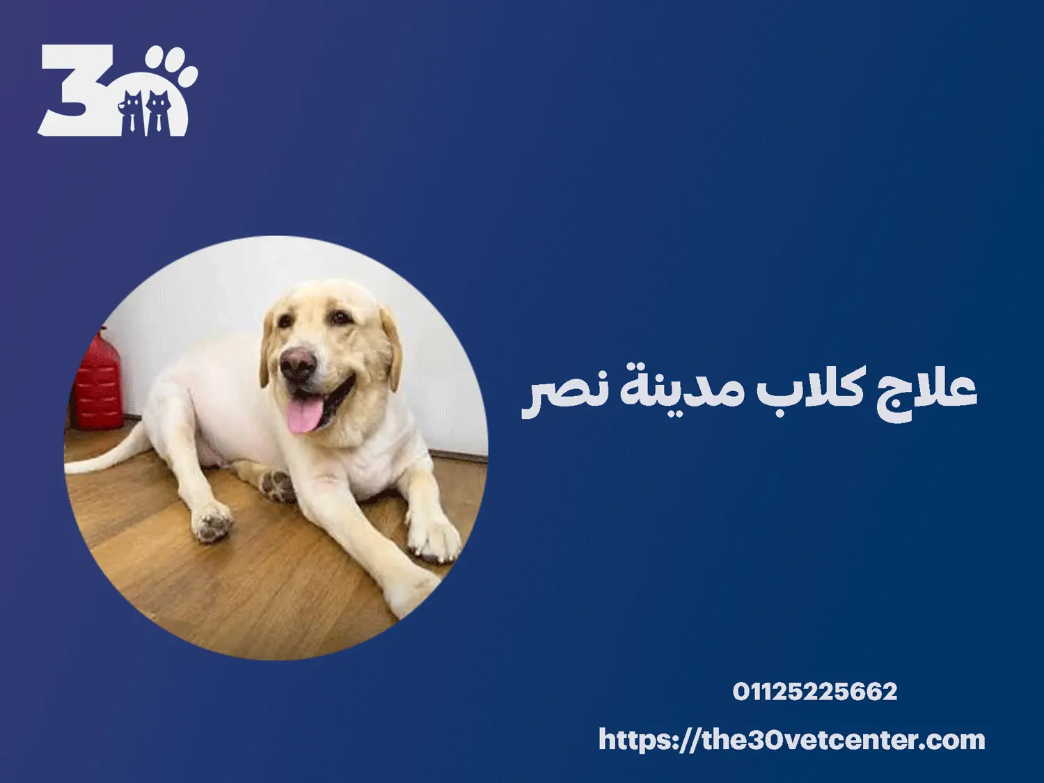 علاج كلاب مدينة نصر