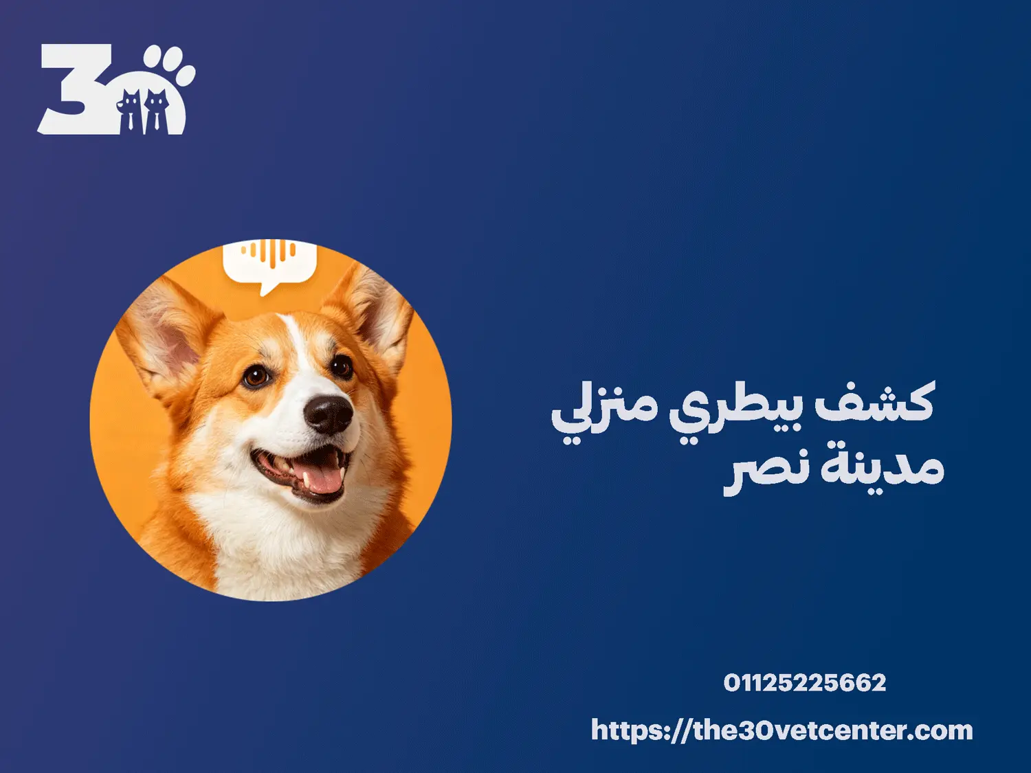 كشف بيطري منزلي مدينة نصر