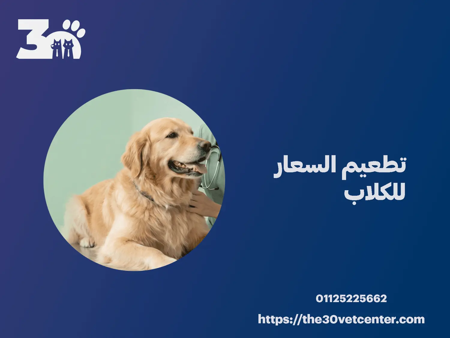 تطعيم السعار للكلاب