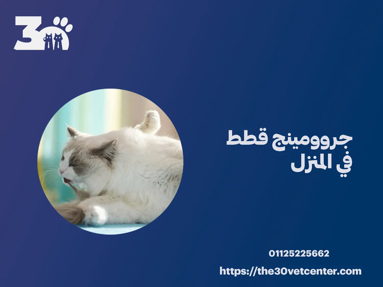 جروومينج قطط في المنزل