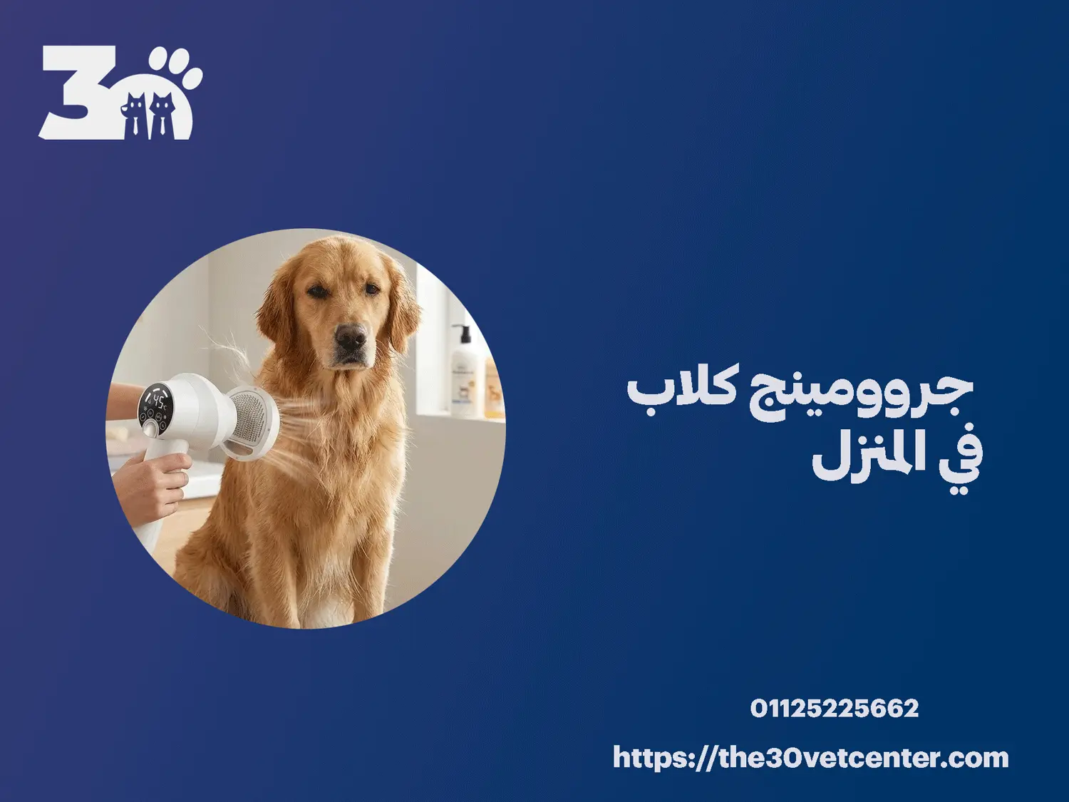 جروومينج كلاب في المنزل