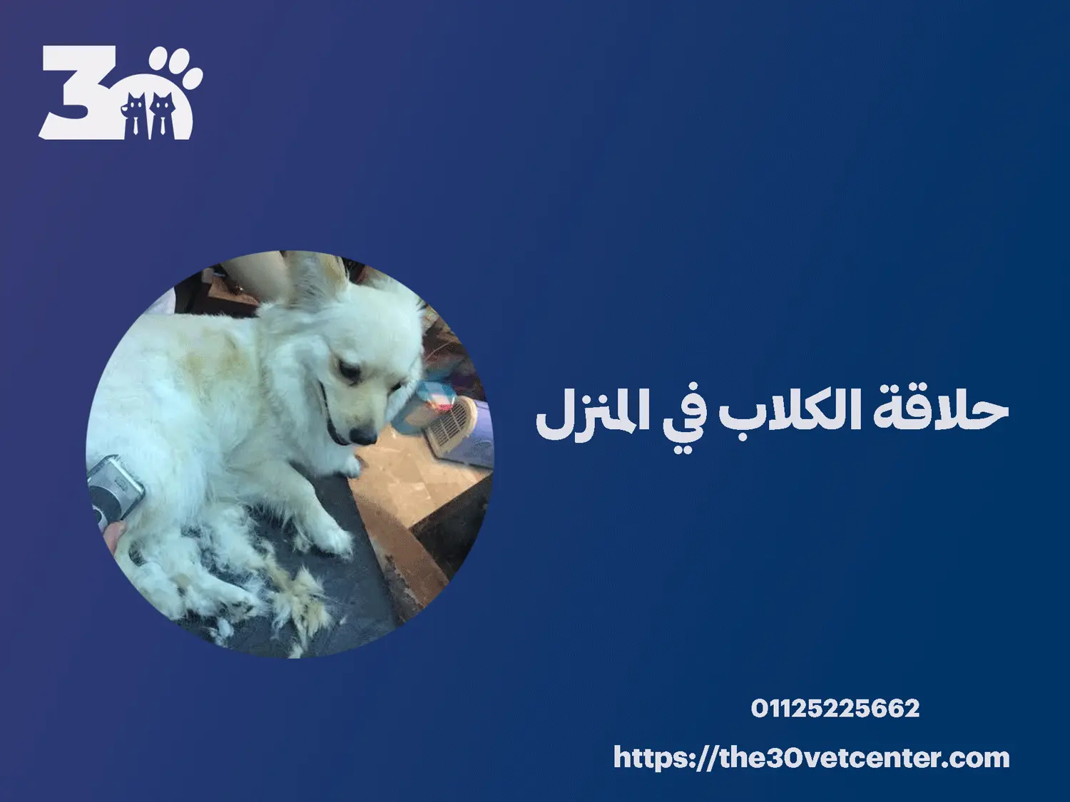 حلاقة الكلاب في المنزل