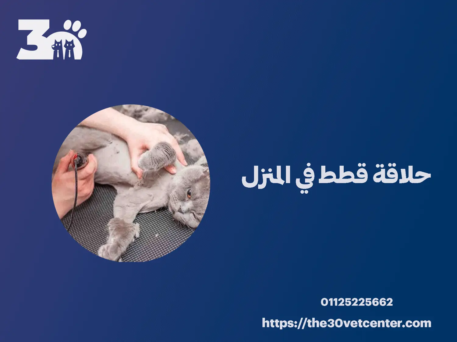 حلاقة قطط في المنزل