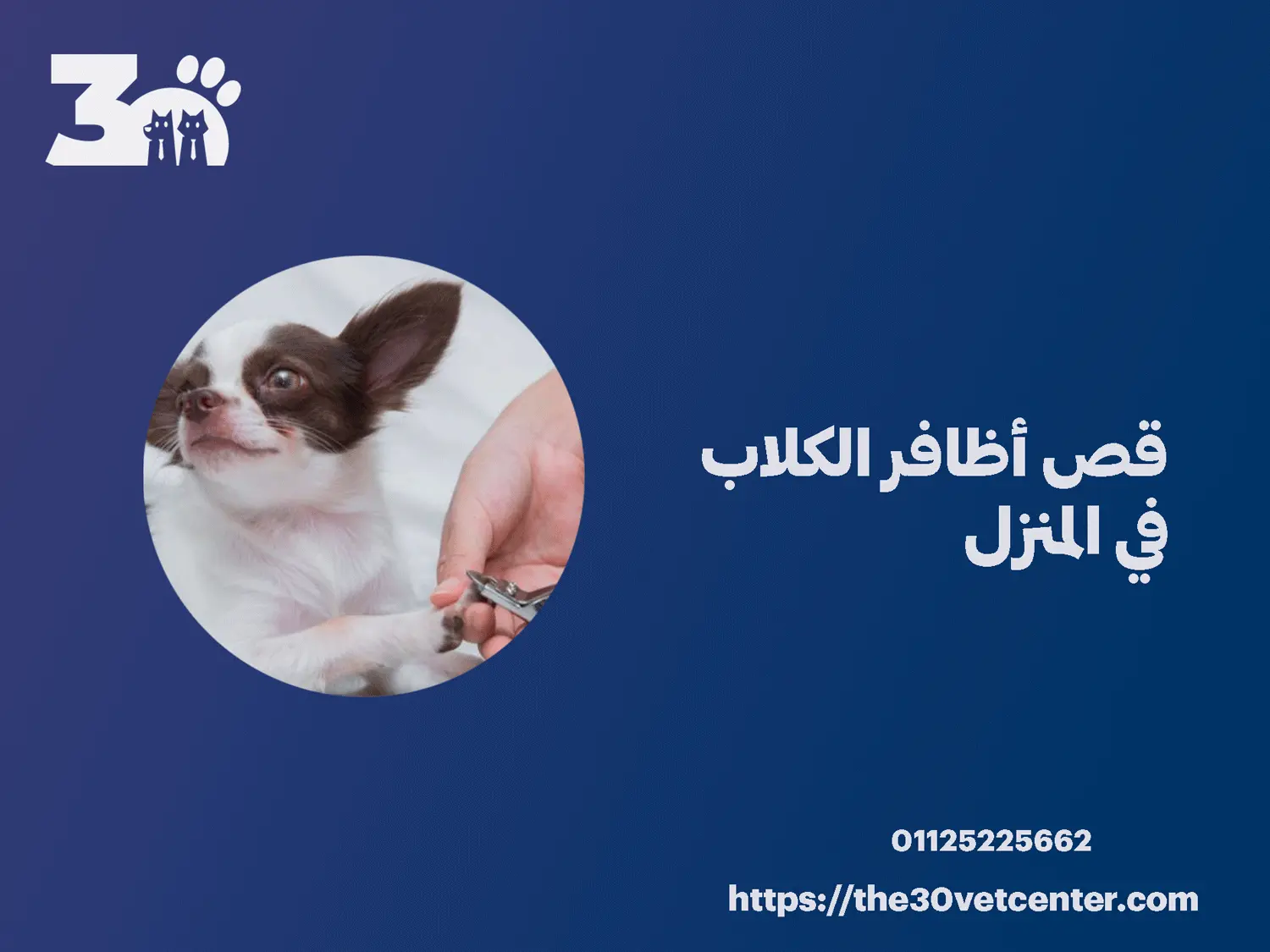 قص أظافر الكلاب في المنزل